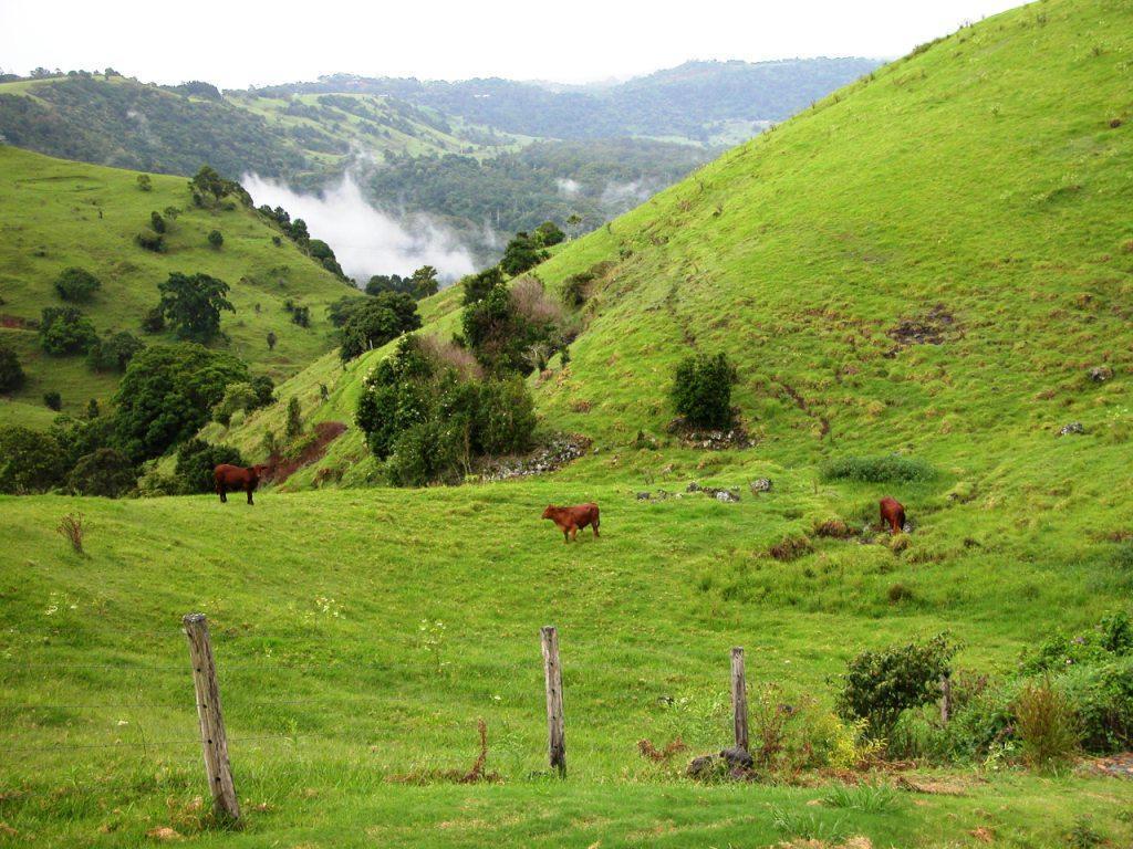 ماليني Top Of The Hill المظهر الخارجي الصورة