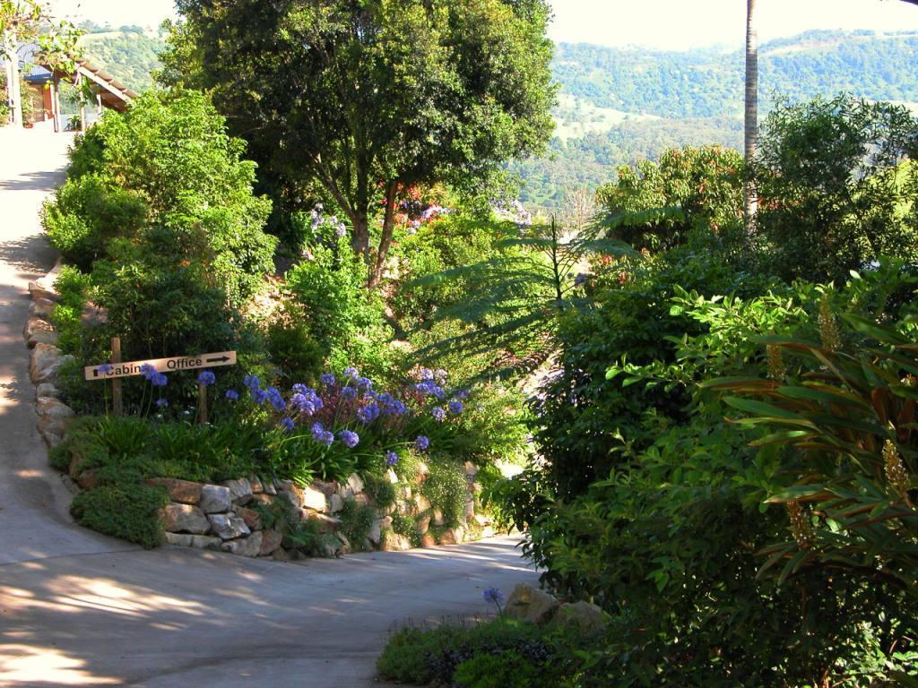 ماليني Top Of The Hill المظهر الخارجي الصورة